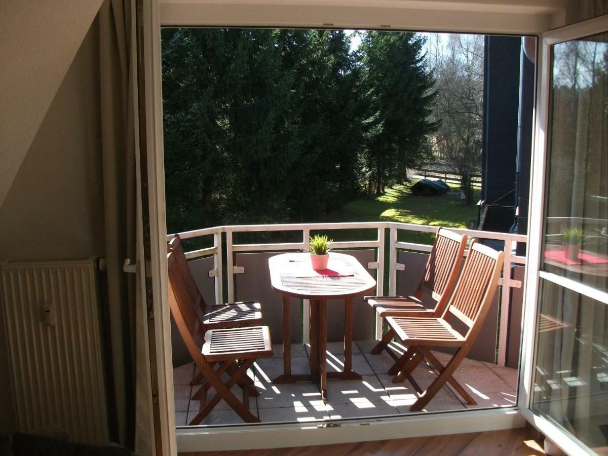 Fewo Schroder - Harzblick Apartment Браунлаге Екстериор снимка